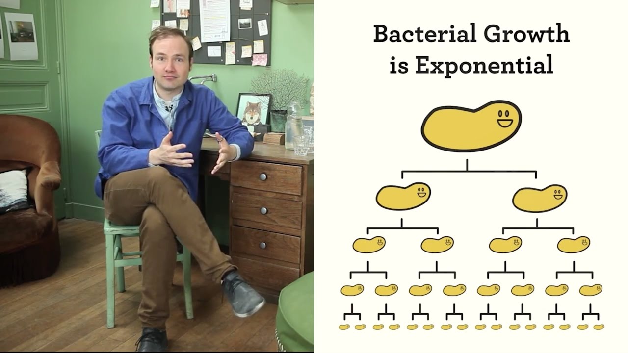 Let's Model Exponential Growth
