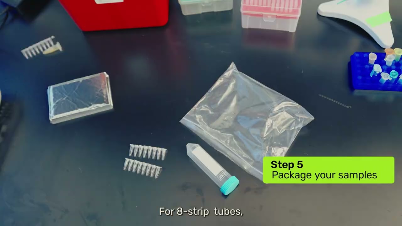 How to Sequence Amplicons / Prepare PCR Products for Sequencing