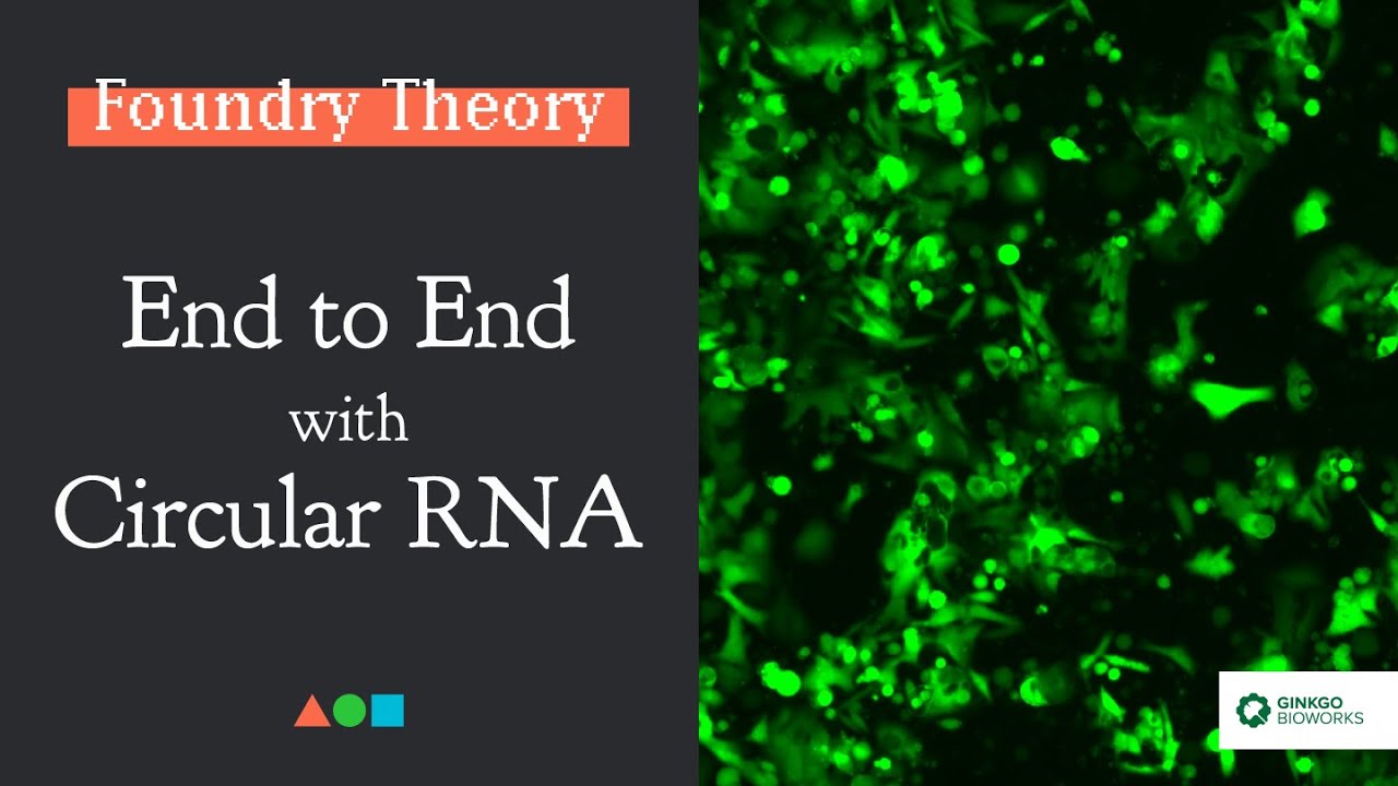FT003 | End to End with Circular RNA