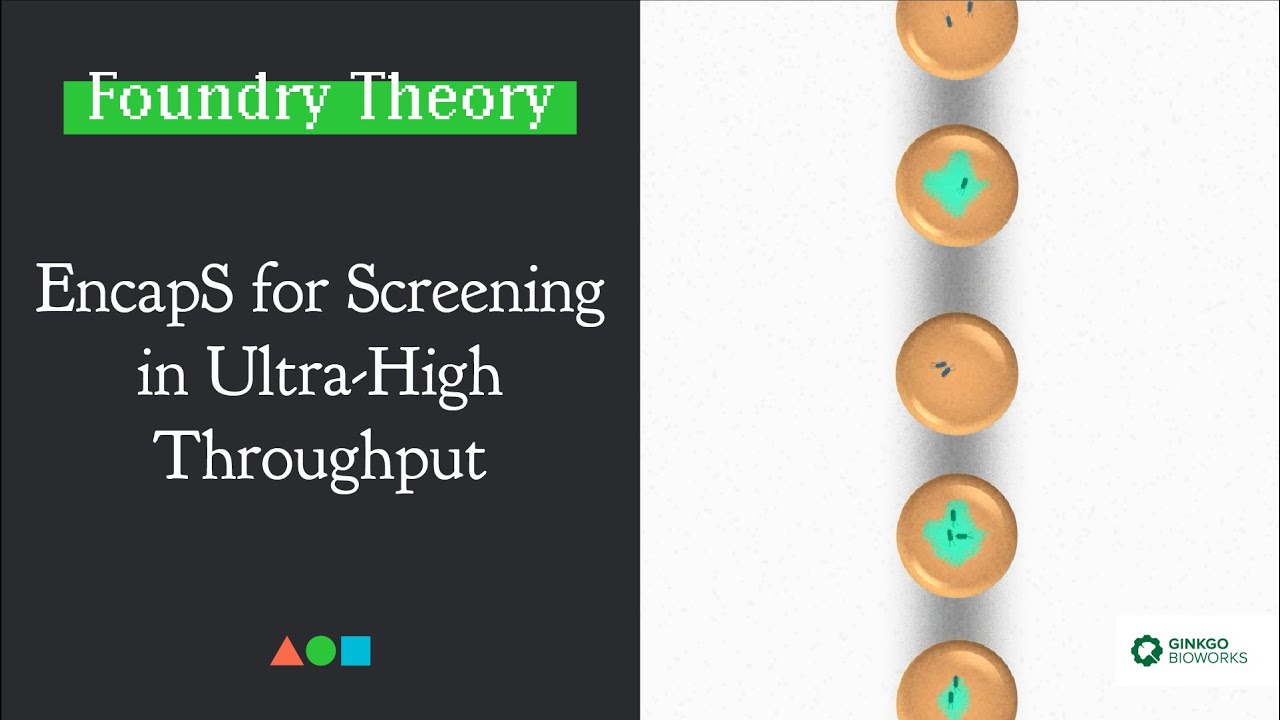 FT007 | EncapS for Screening in Ultra-High Throughput