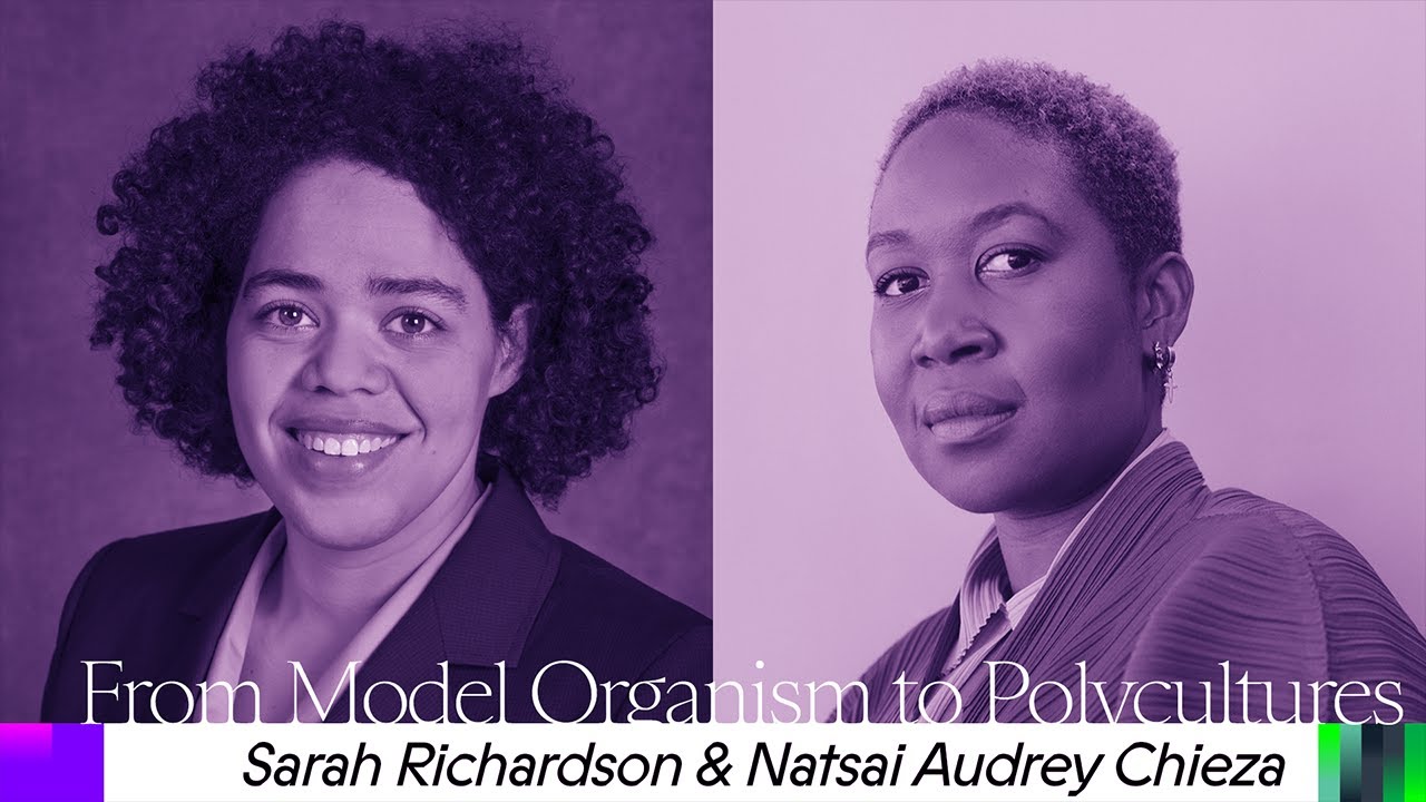 03 | From Model Organism to Polycultures