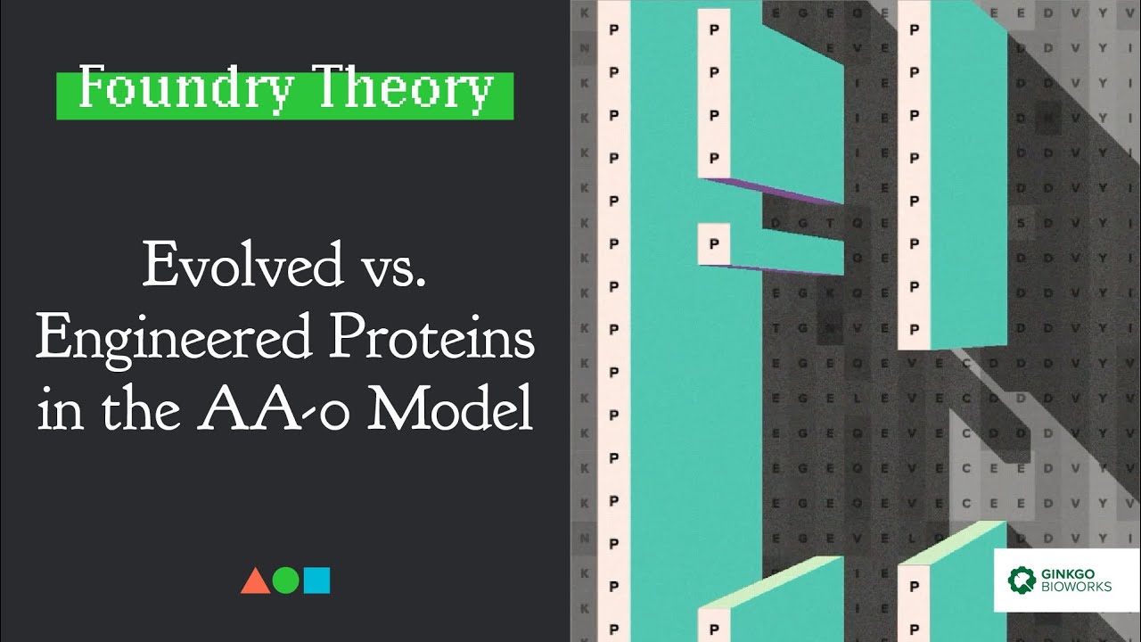 FT042 | Evolved vs. Engineered Proteins in the AA-0 Model