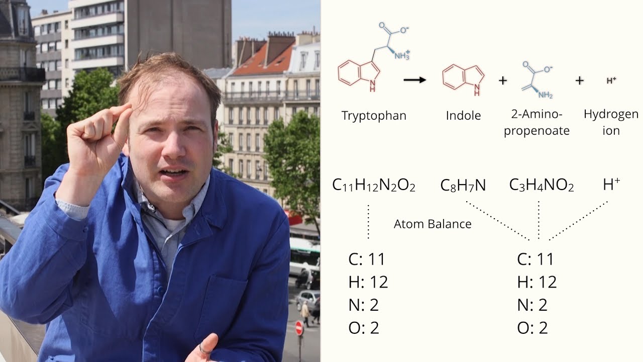 Substrates and Products in Chemical Reactions