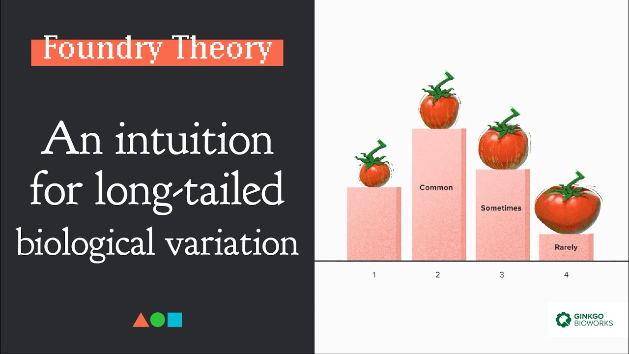 FT019 | An Intuition for Long-Tailed Biological Variation