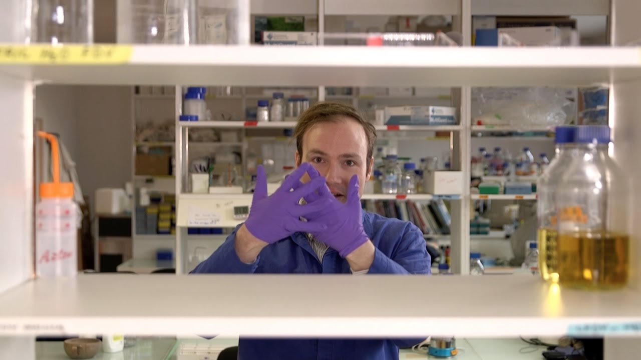 How to Make an Agarose Gel