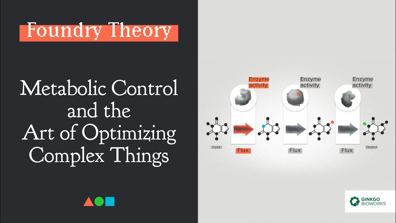 FT022 | Metabolic Control and the Art of Optimizing Complex Things
