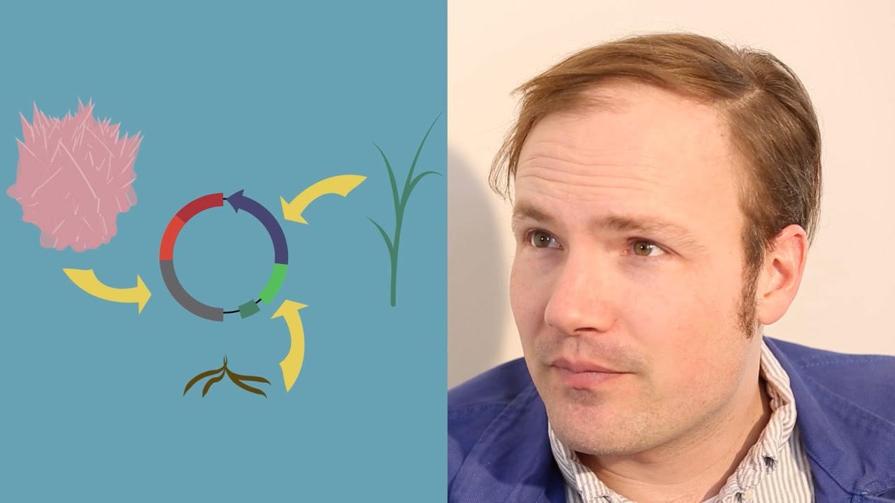 Finding Interesting DNA Sequences in GenBank