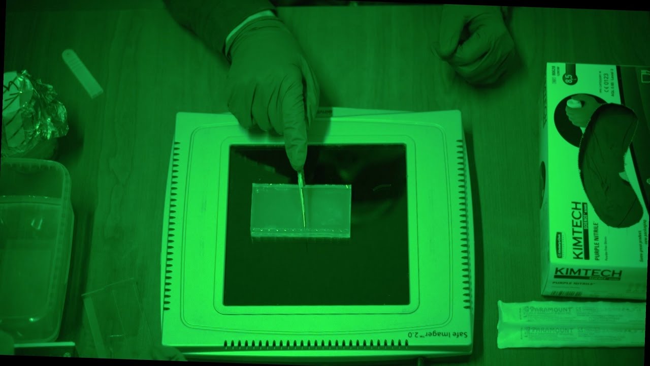 How to Cut DNA from an Agarose Gel