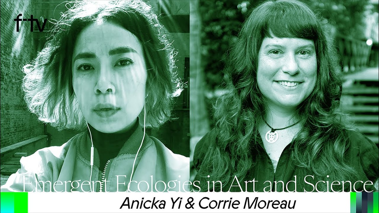 02 | Emergent Ecologies in Art and Science