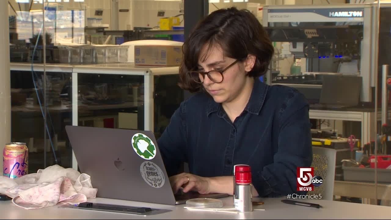 Young Bloods: Christina Agapakis | — | —