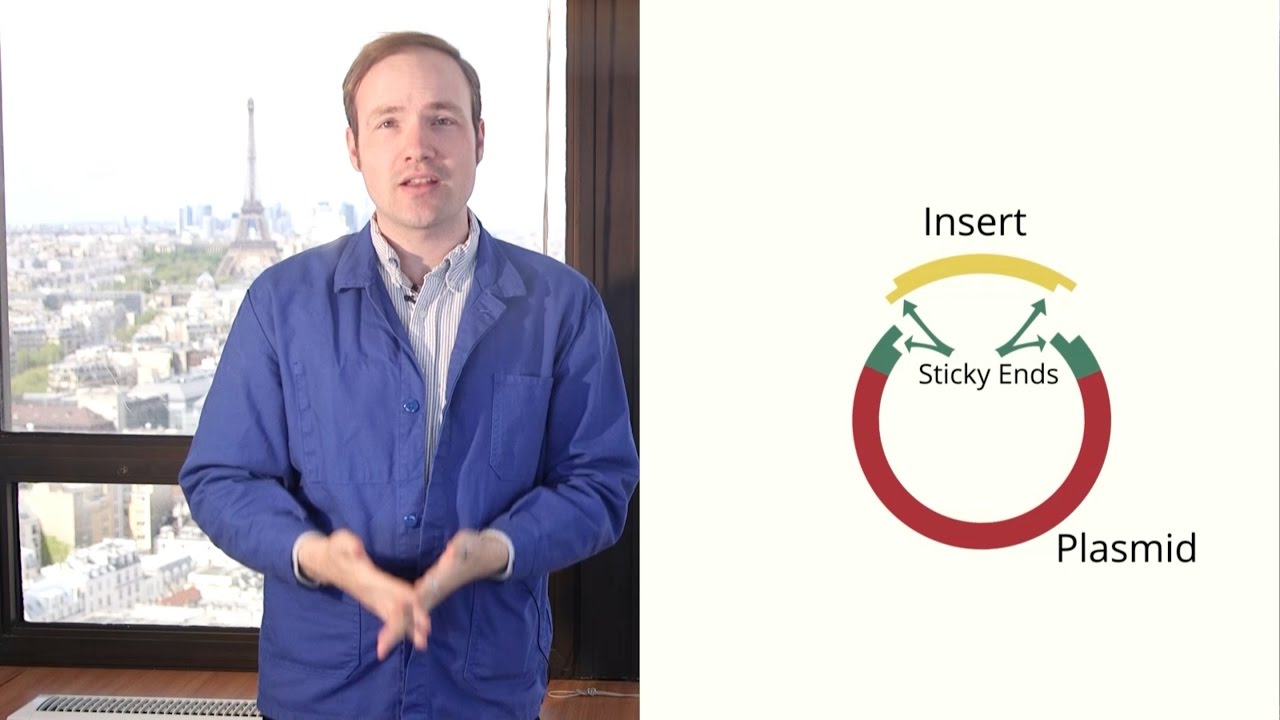 Directional Cloning and BioBricks