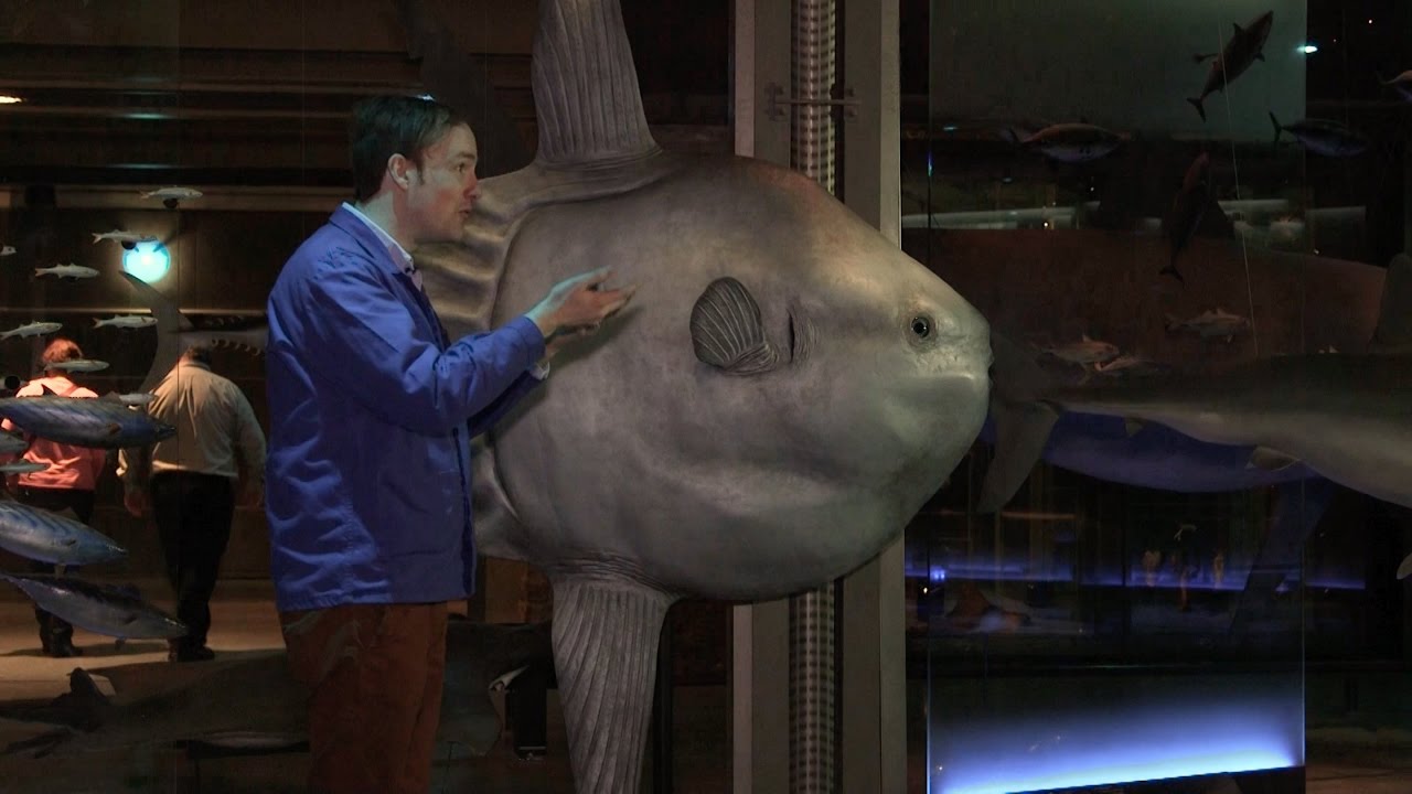 The Genetic Coloring Book