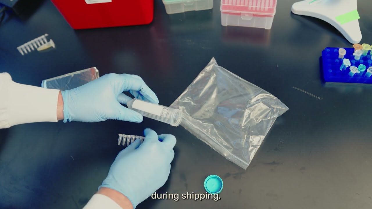 How to Sequence Whole Plasmids