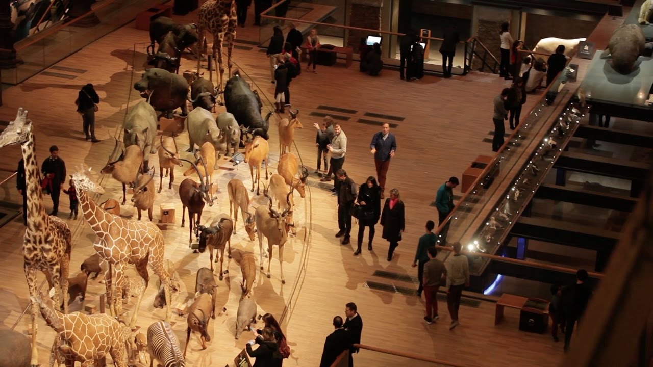 The Circle of Synthetic Life