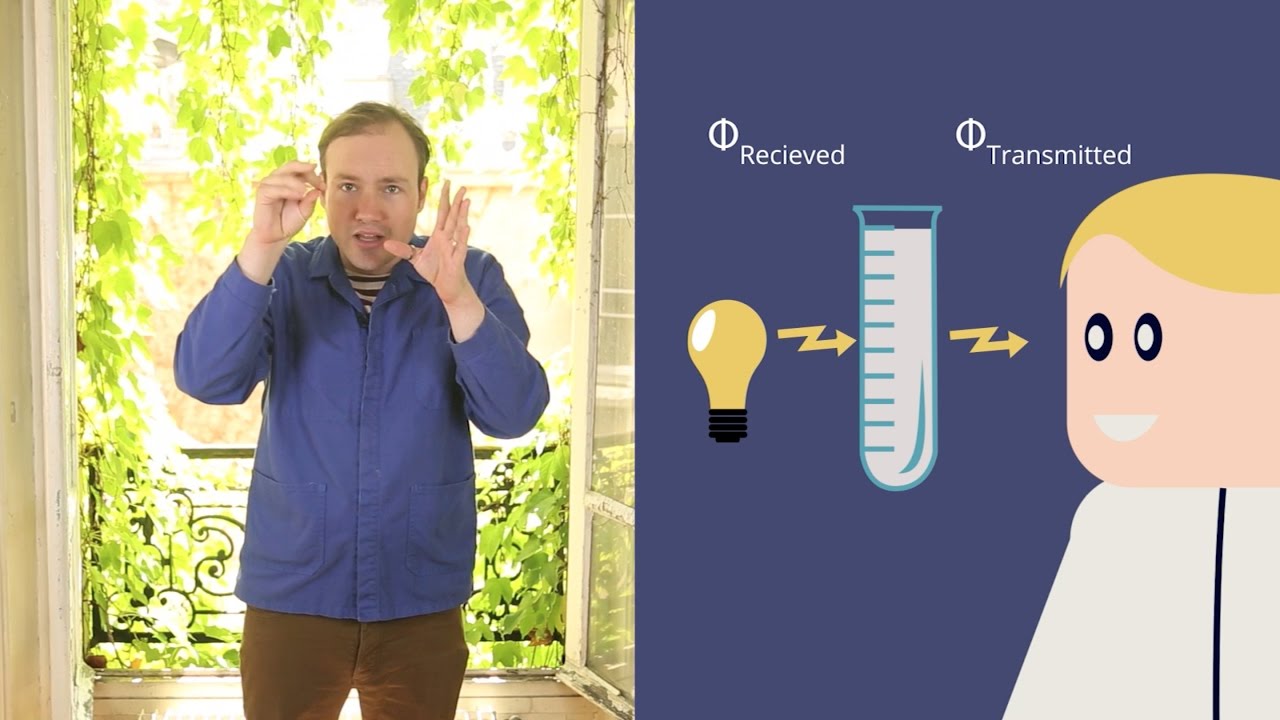 Measuring Bacterial Growth by Optical Density