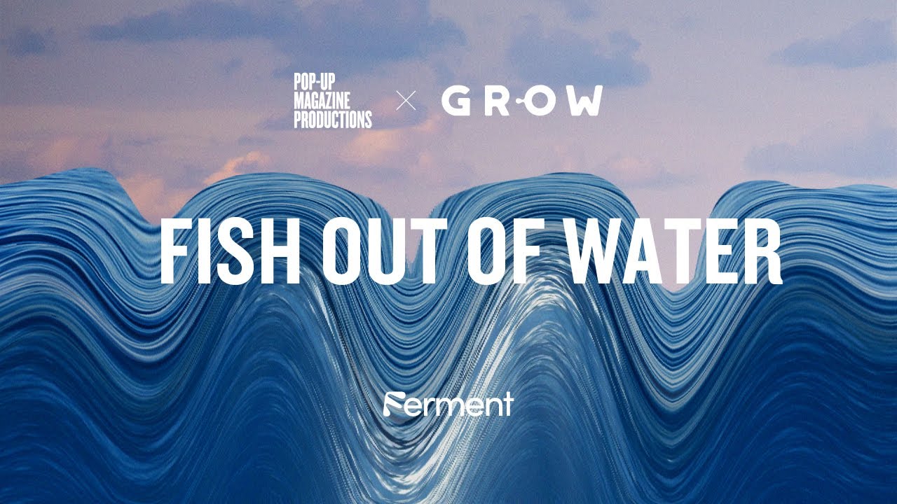 Fish Out of Water by Nadia Berenstein