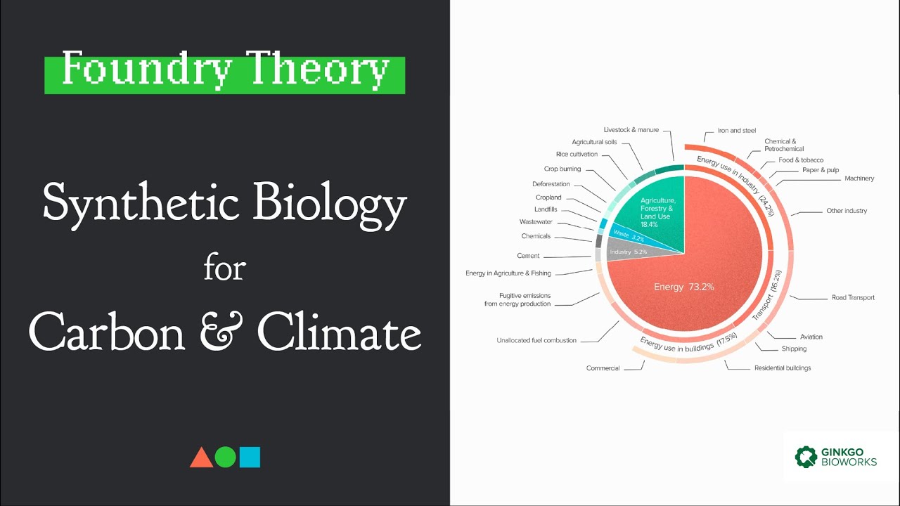 FT009 | Synthetic Biology for Carbon & Climate
