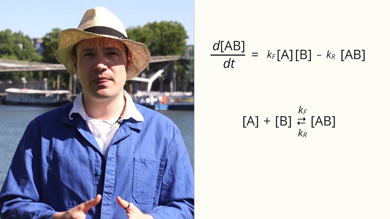 Mass Action Modelling