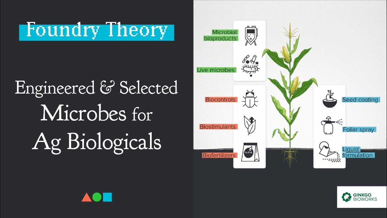 FT025 | Engineered and Selected Microbes for Ag Biologicals