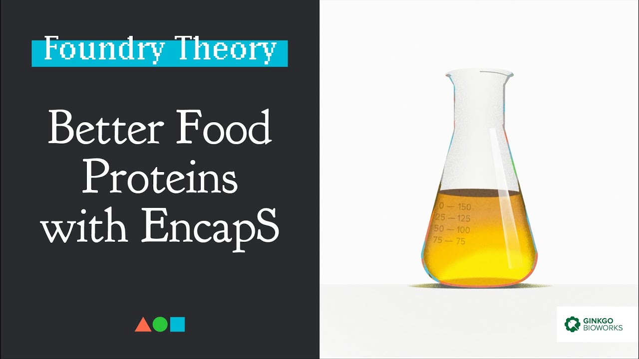 FT008 | Better Food Proteins with EncapS