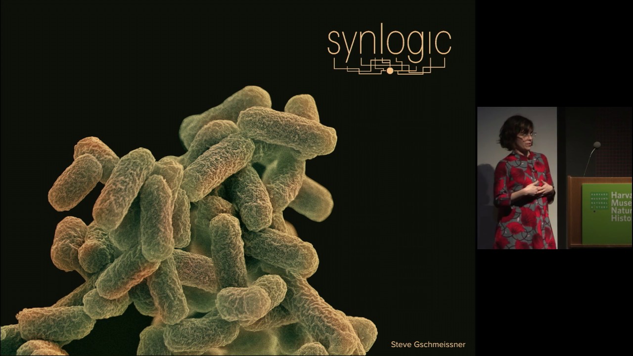 Designing Living Things | Harvard Microbial Sciences Initiative Keynote | 2019