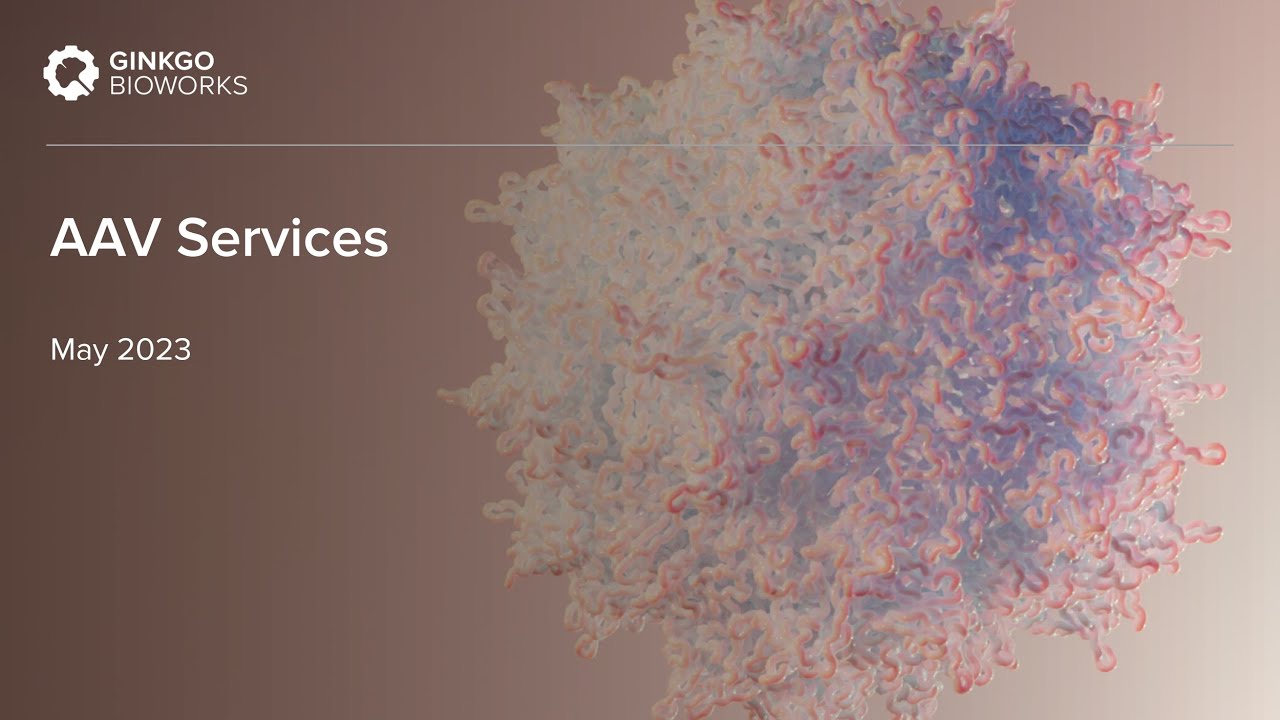 AAV Services for Gene Therapy