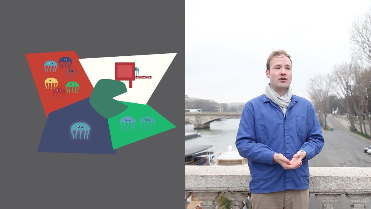 Choosing the GFP Variant That's Right for You